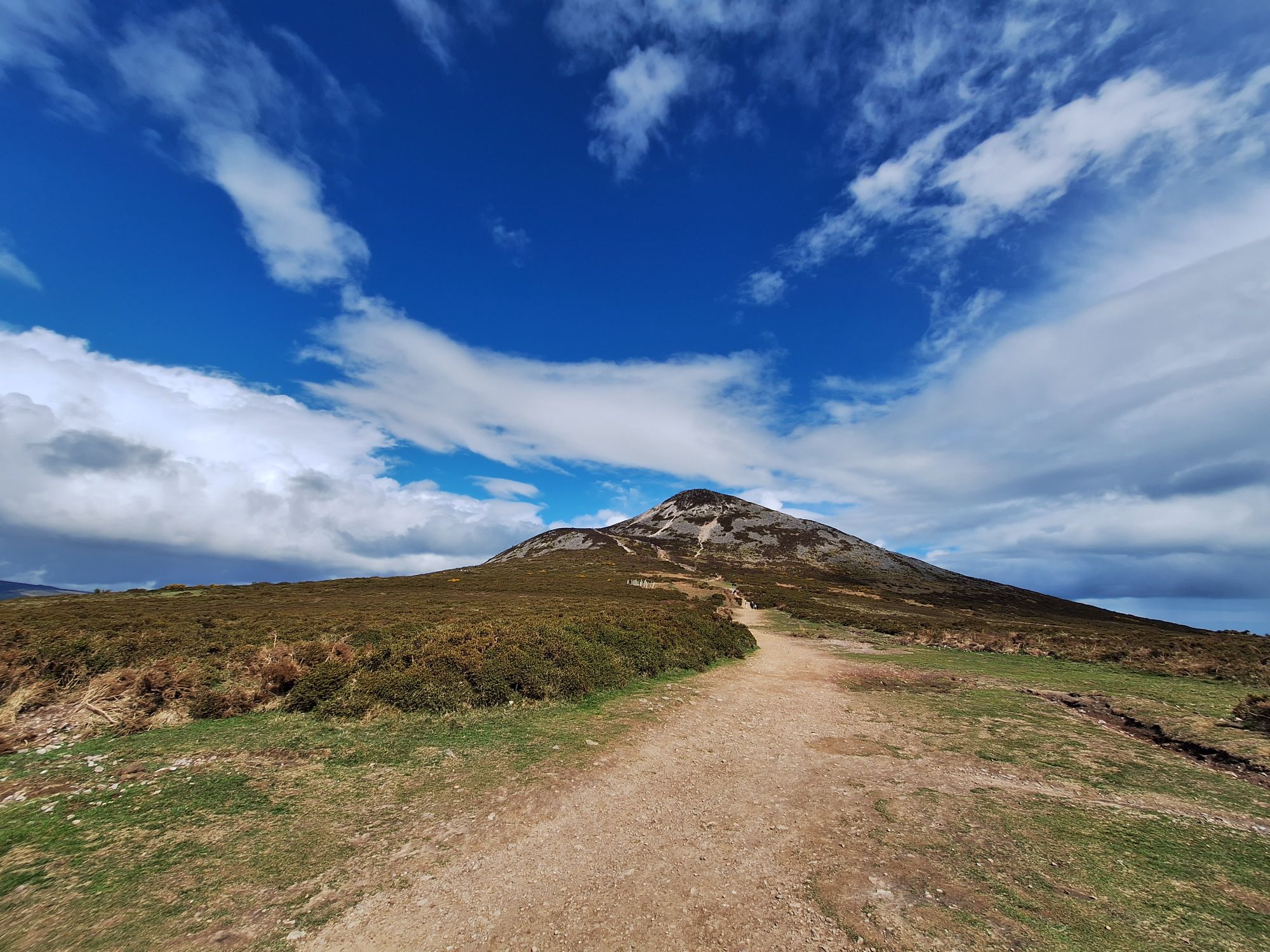 Sugarloaf，爬山兼看羊咩咩
